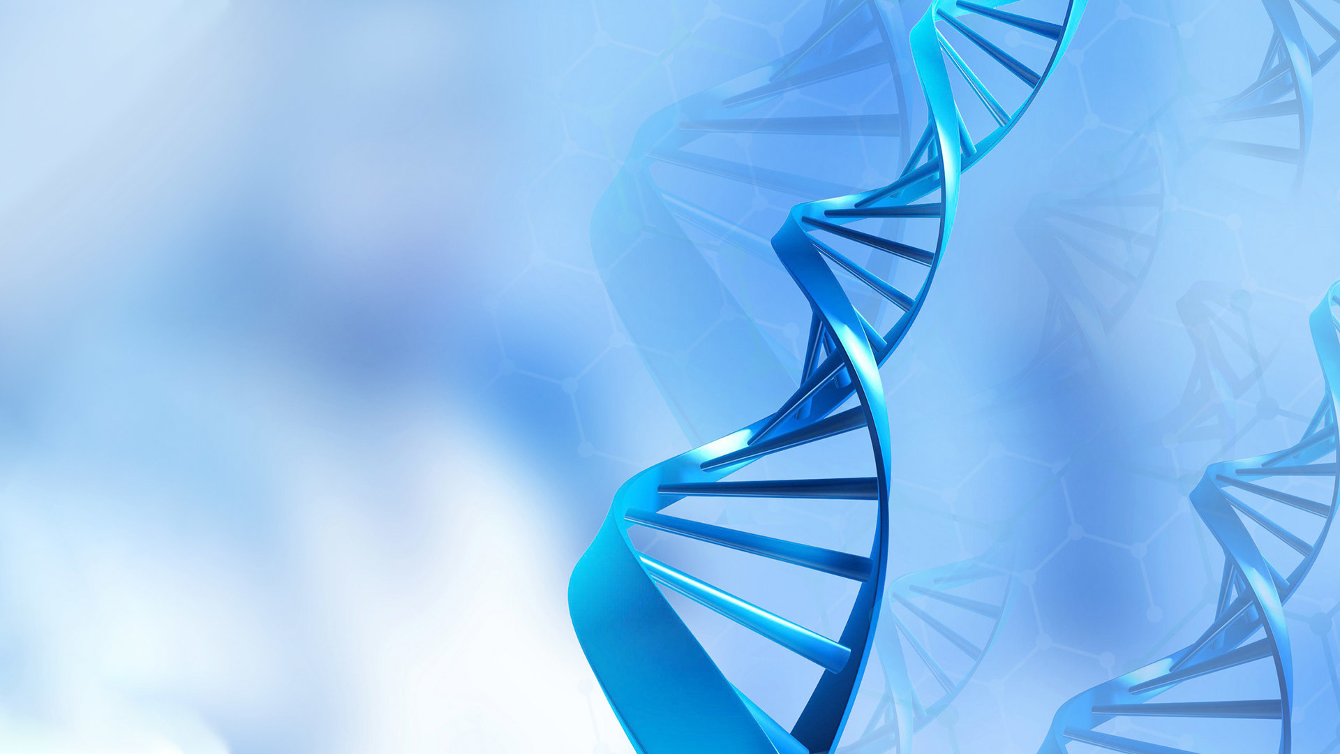 專業(yè) 專心 專注